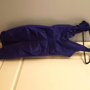 Blue/purple dress